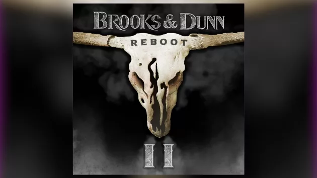m_brooksanddunnrebootiisonymusicnashville647537
