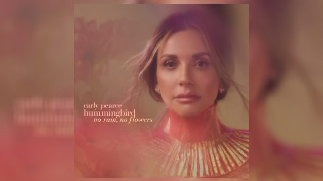 m_carlypeacehummingbirddeluxe617782