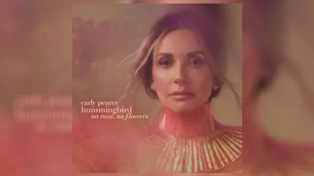 m_carlypeacehummingbirddeluxe617782