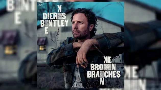 m_dierksbentleybrokenbranches341255