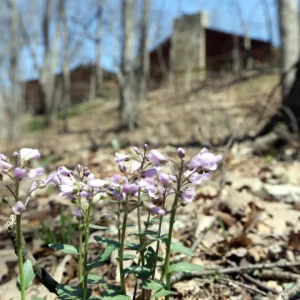 Izaak Walton Conservation Club