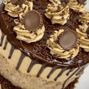 Mini Delights Bake Shoppe