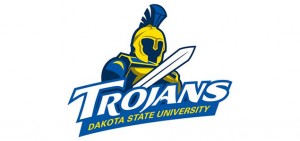 DSU-Logo