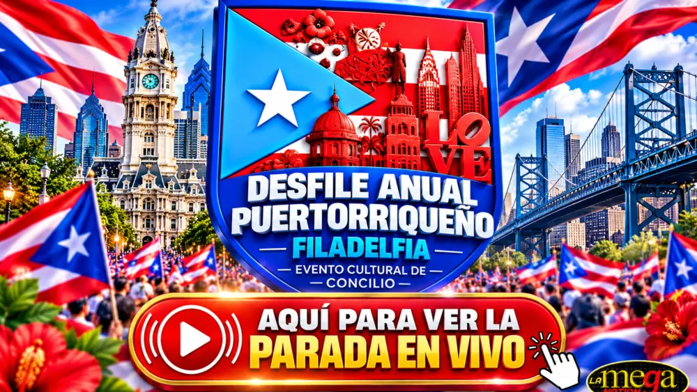Live stream