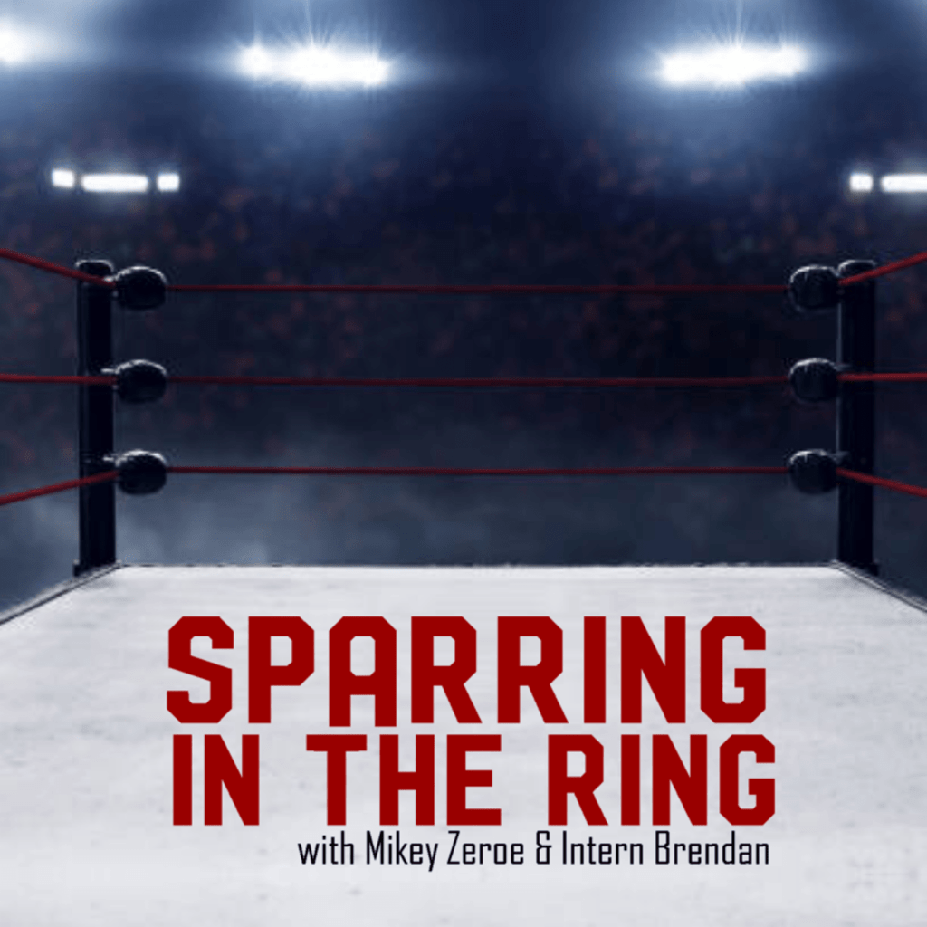 sparring-logo708957