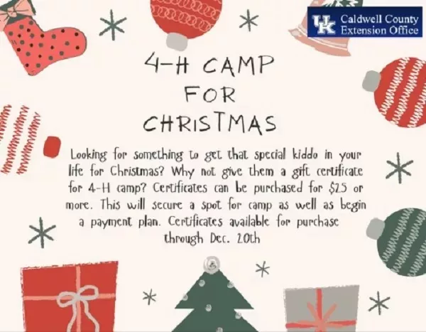 11-29-23-4-h-camp-for-christmas-graphic