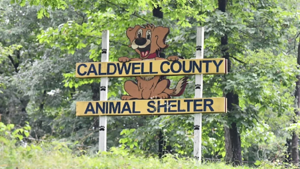 01-12-24-caldwell-county-animal-shelter-signage