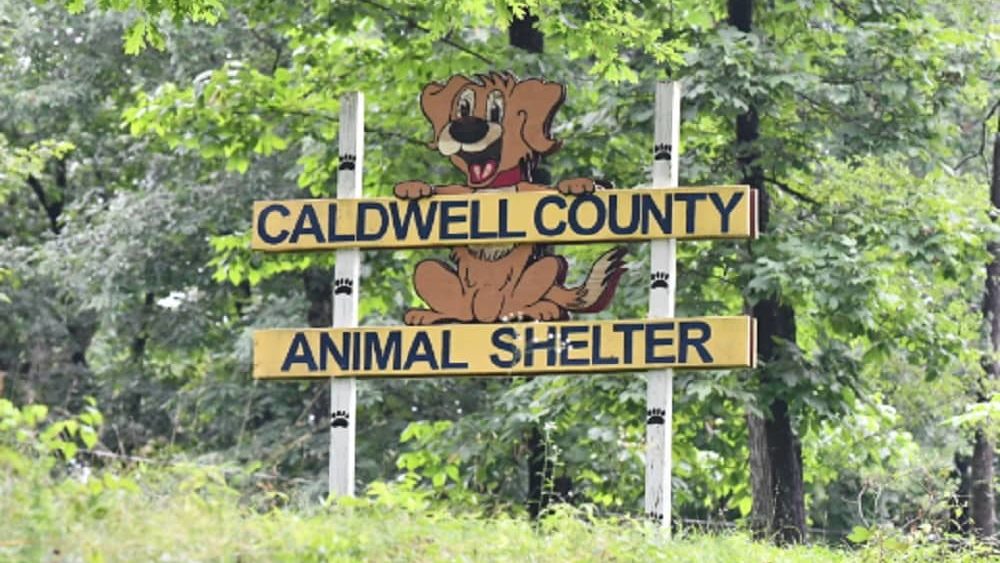 01-12-24-caldwell-county-animal-shelter-signage