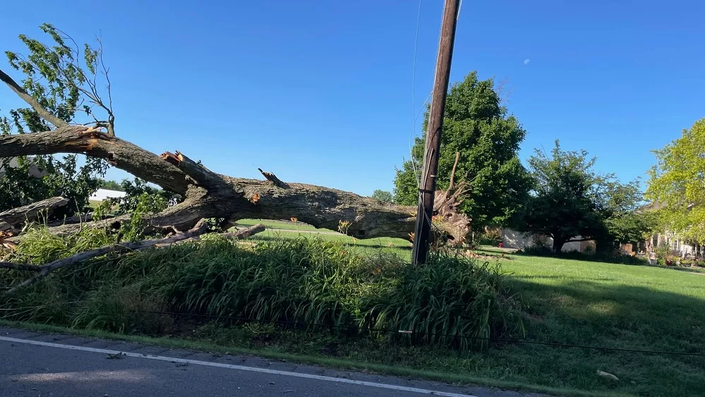 05-29-24-hopkinsville-rd-downed-tree-4