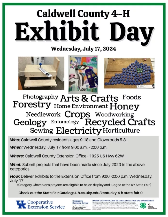 07-08-24-4-h-exhibit-day-flyer