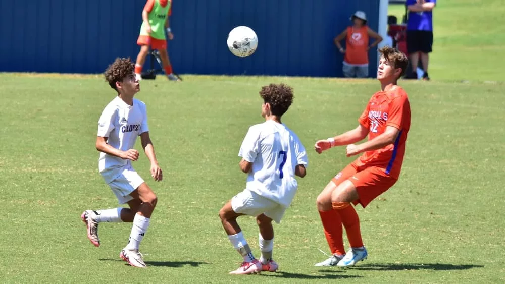 webp-net-resizeimage-2024-08-17t225032-978281360