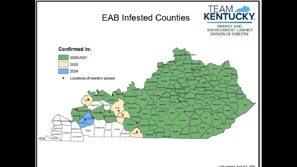 08-15-24-eab-infested-counties-ky-division-of-forestry