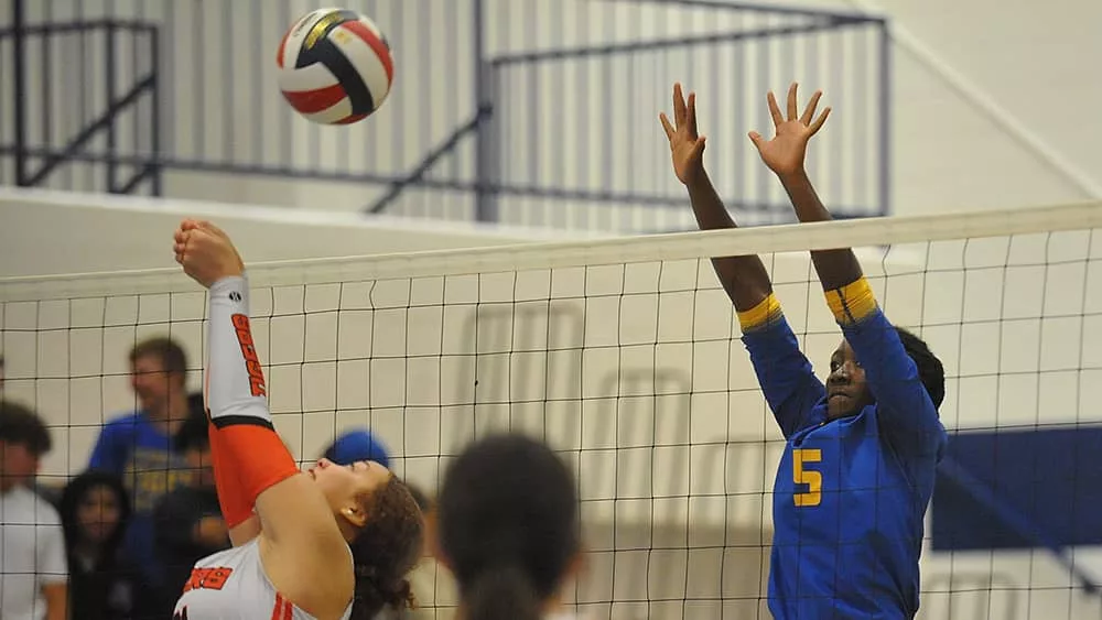 caldwell-hopkinsville-volleyball749080