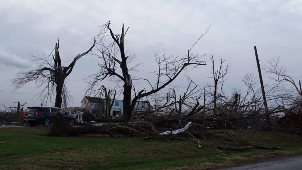 10-07-24-tornado-damaged-trees