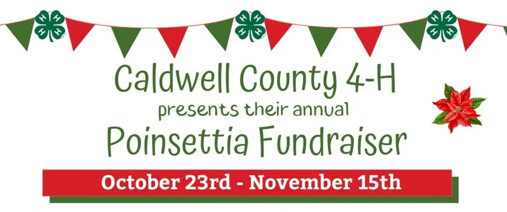 11-07-24-caldwell-4-h-poinsettia-flyer