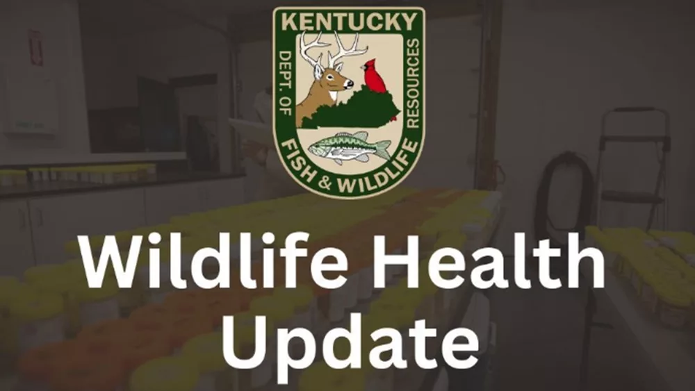 12-11-24-kfw-wildlife-health-update-graphic