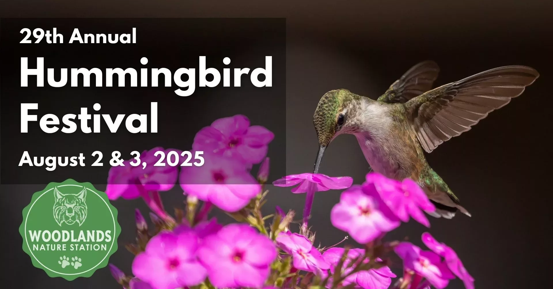 474010024_932186969038281_7545000024895615235_n-jpg