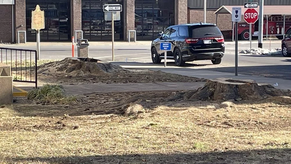 02-25-25-caldwell-courthouse-tree-removal-2