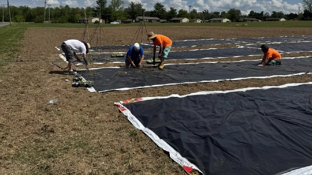 04-28-25-ccj-spring-planting-picture-from-caldwell-county-jail-facebook