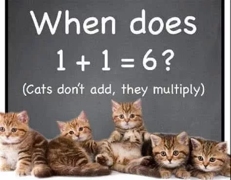 493679081_1113958757442934_3043003412487580337_n