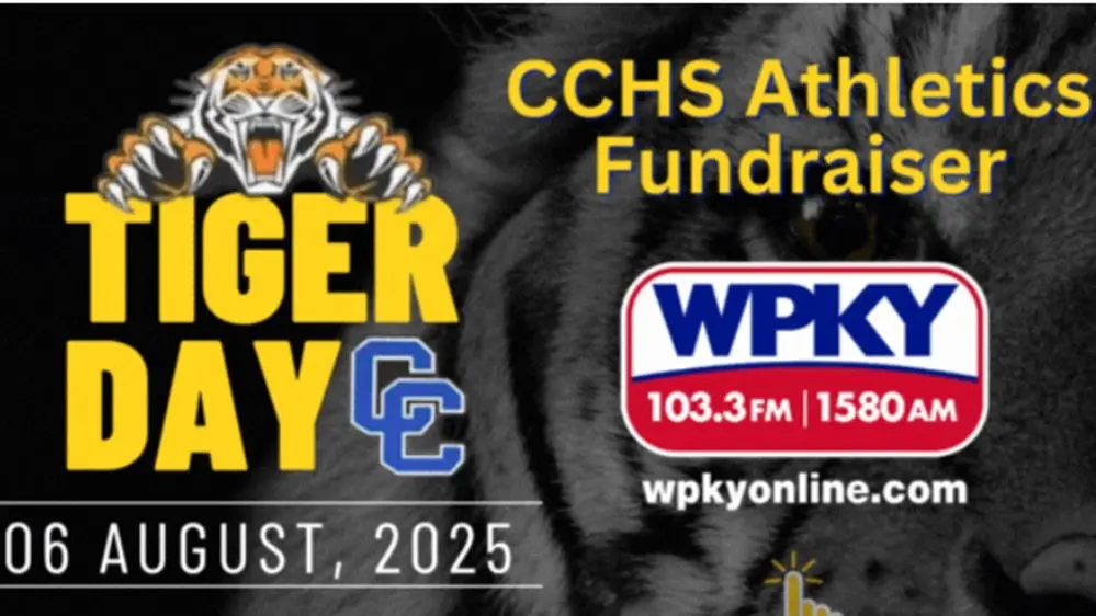 08-04-25-tiger-day-wednesday