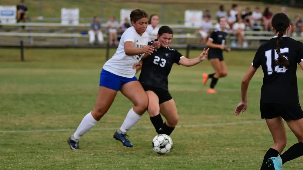 dsc_8367_cropped833019