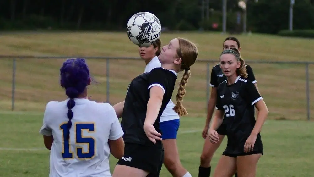 dsc_8378_cropped520352