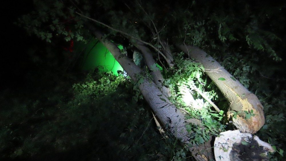 img_9353_copy_1000x563-jpg-2