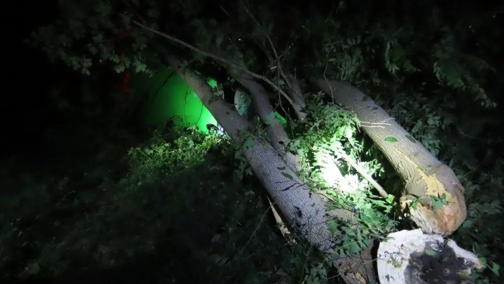 img_9353_copy_1000x563-jpg-2