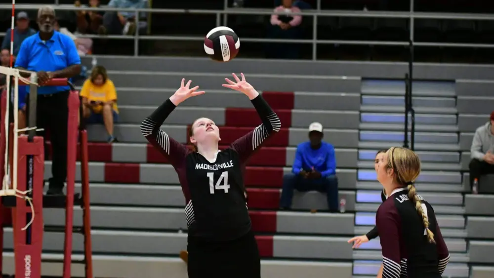 dsc_5294-e1756907241374832372