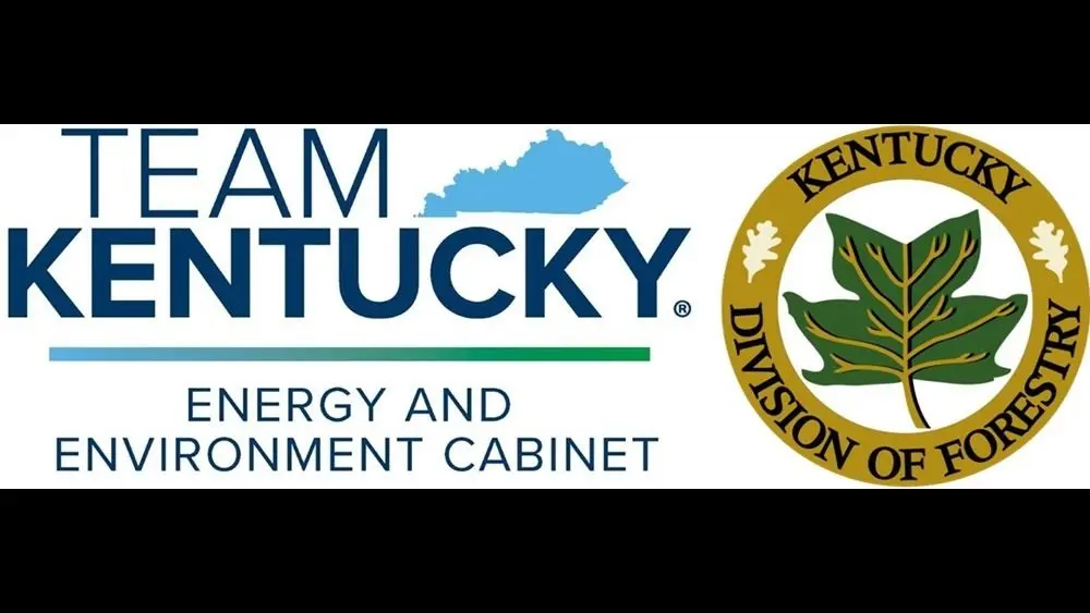 ky-energy-and-environment-cabinet-division-of-forestry-graphic