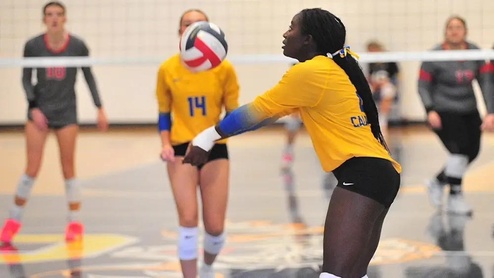 caldwell-cfs-2926868