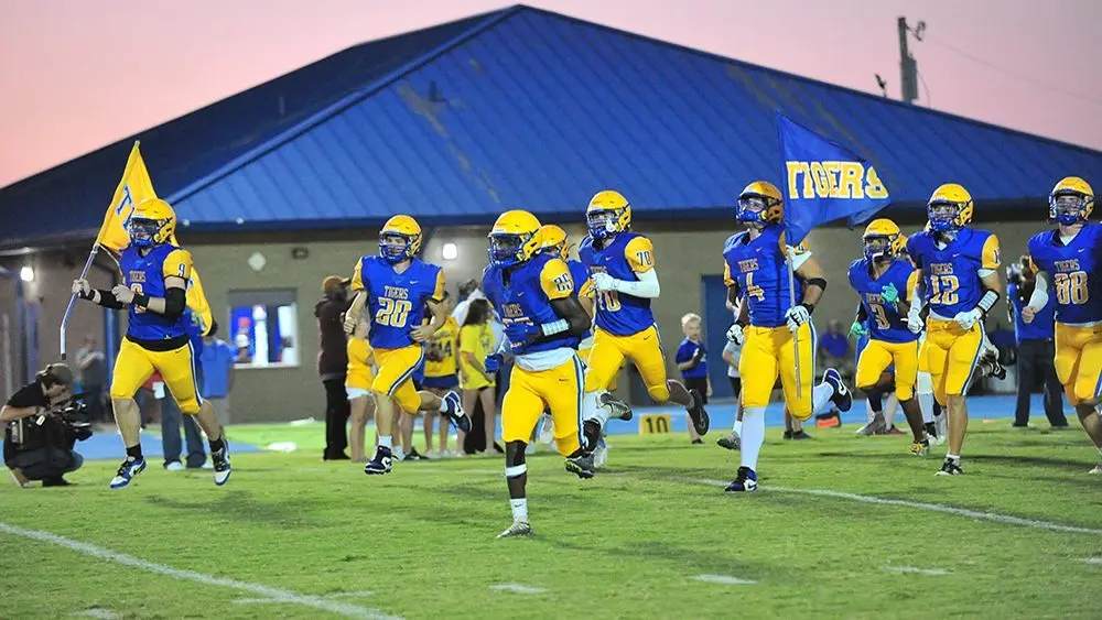 tiger-football346701