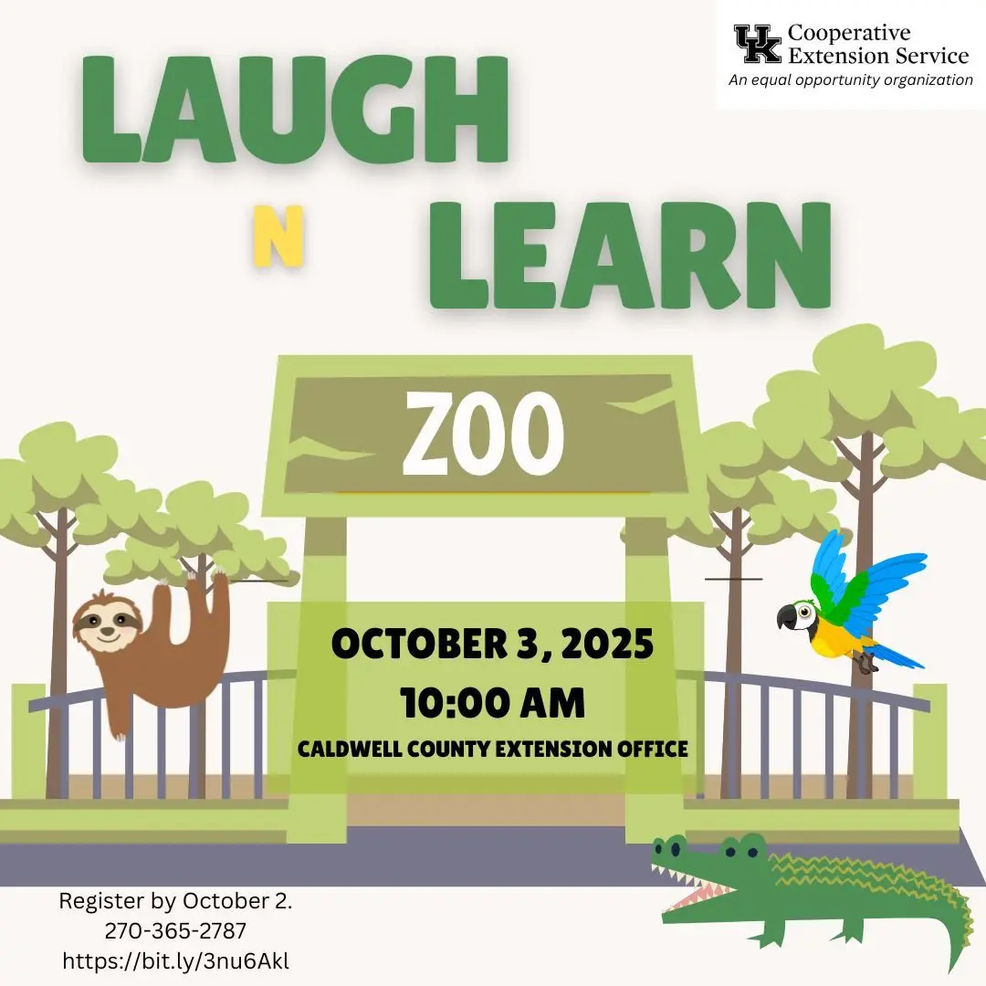 557623216_1918923695597760_7437663195712071700_n