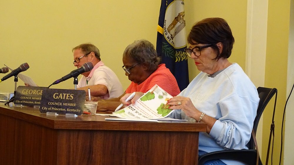 Princeton Council Approves Appointments, Promotes Tree Week