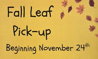 Pool details Princeton’s Fall Leaf Pickup on “Coffee Talk with Tess”