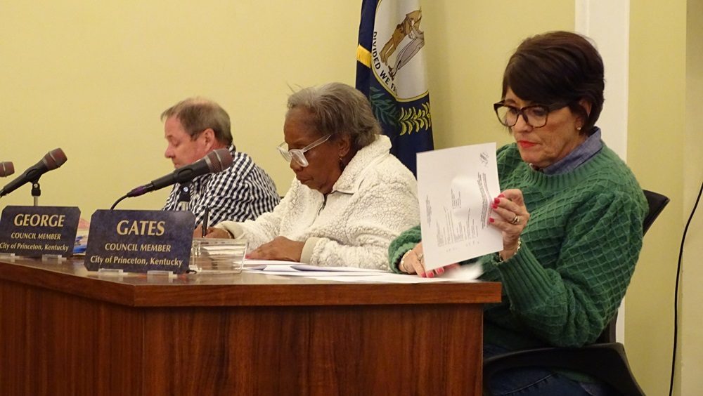 Princeton City Council Approves Demolition Bid, Airport Board Appointments