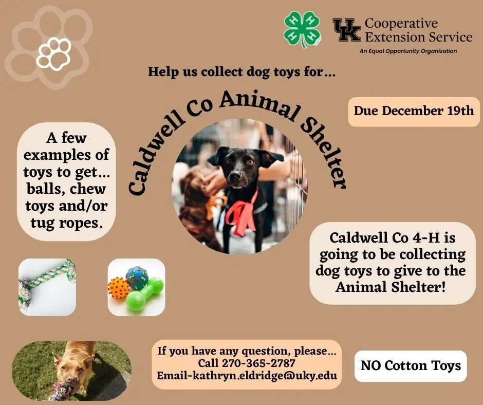 581878829_1960624534761009_5724475440173076783_n