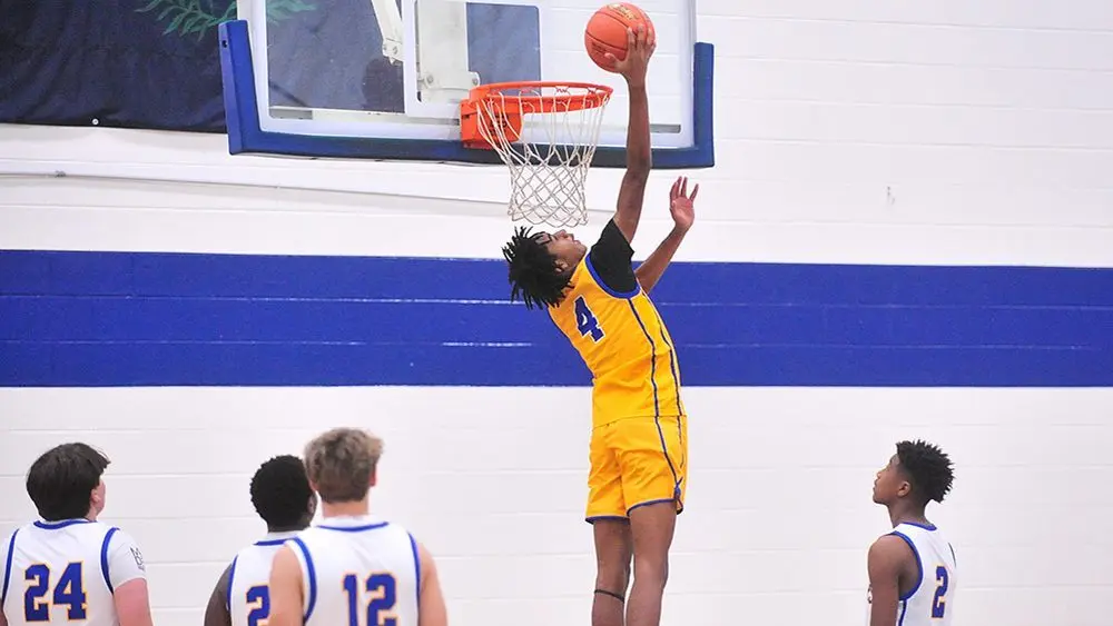 tiger-basketball172336