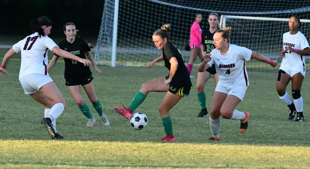 dsc_3715-e1764314043424138708