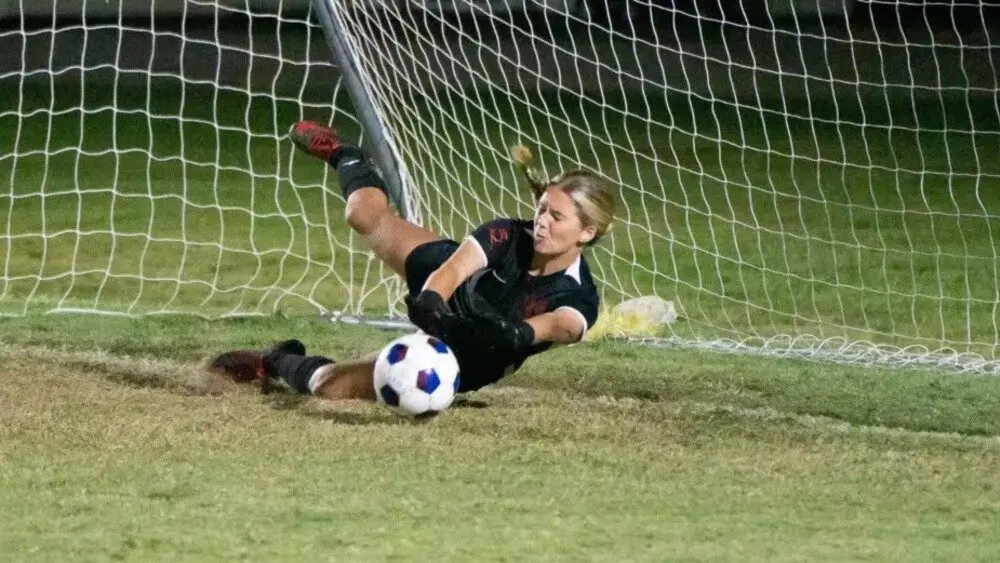 dsc00941-ezgif-com-resize254931