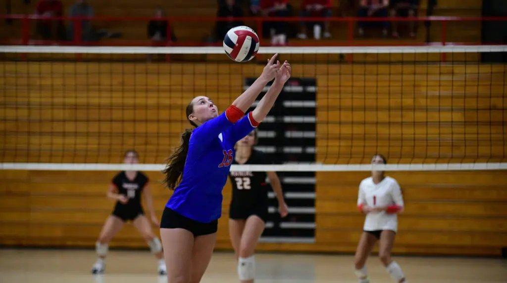 dsc_1711-e1764320544371198113