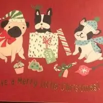 591041667_1187446073485954_902030577623475779_n