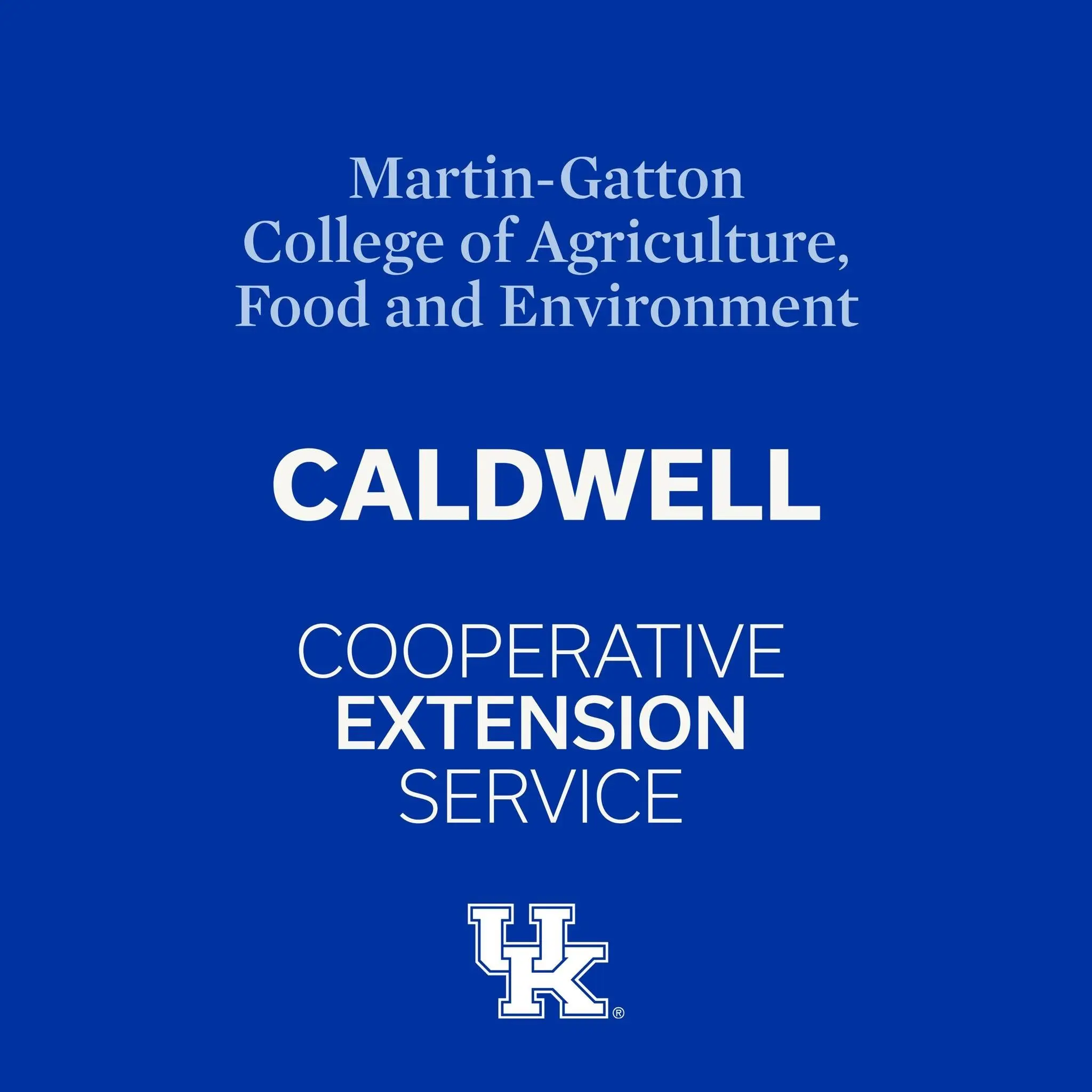 459380610_1600560407434092_3991091310418486556_n