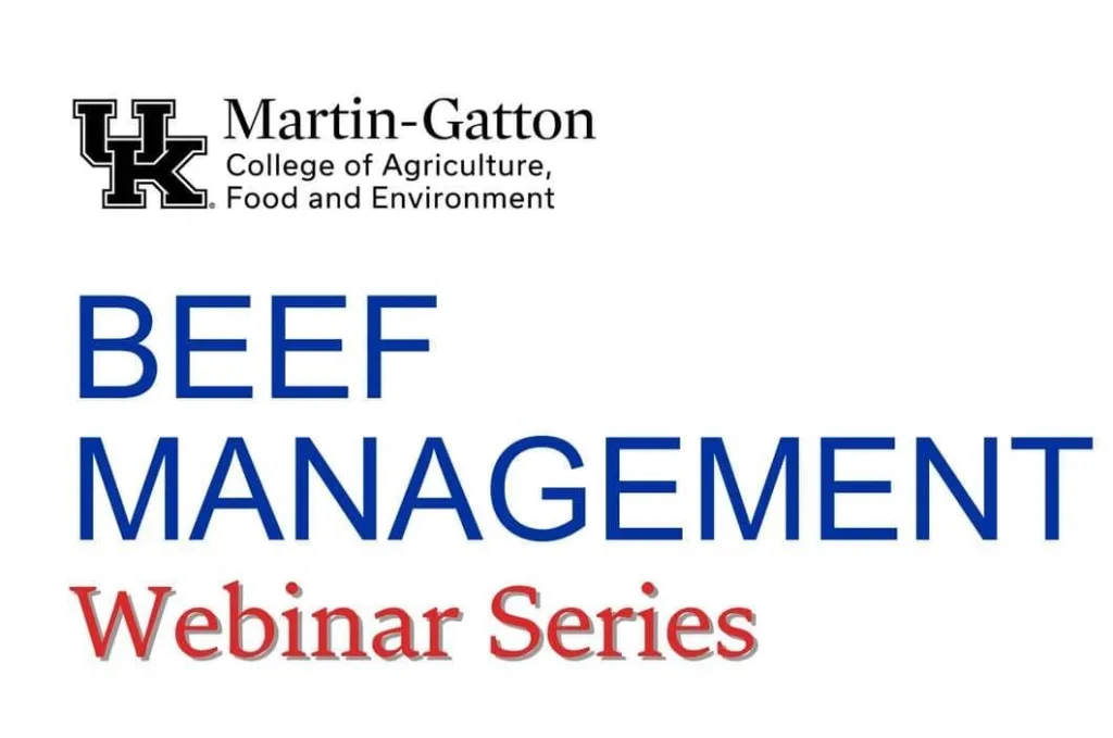 594674352_1977023616454434_661789306971162852_n