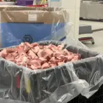 photo-jan-20-2026-2-28-24-pm