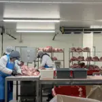 photo-jan-20-2026-2-27-57-pm