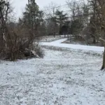 inbound5835608863422983608