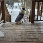 inbound2907675946103151518