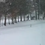 inbound8445369556541309697